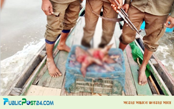 সুন্দরবন থেকে হরিণের মাংস, মাথা ও পা জব্দ
