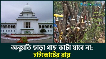 অনুমতি ছাড়া গাছ কাটা যাবে না