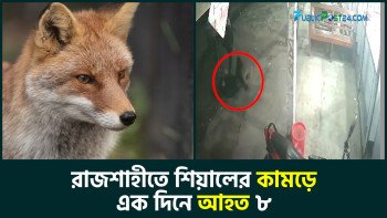 শিয়ালের কামড়ে এক দিনে আহত ৮