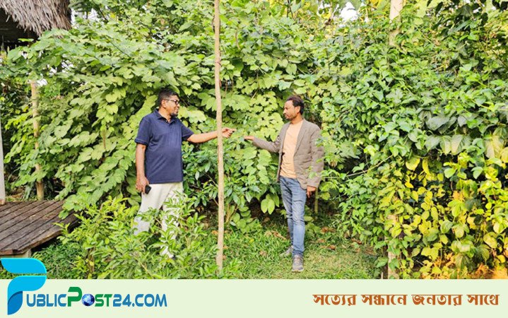 প্রথম কৃত্রিম বন মিরসরাইয়ের ‘মিয়াওয়াকি ফরেস্ট’