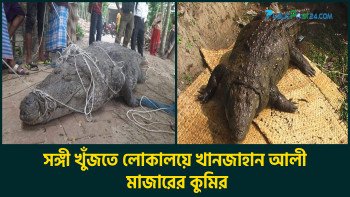 সঙ্গী খুঁজতে লোকালয়ে খানজাহান আলী মাজারের কুমির