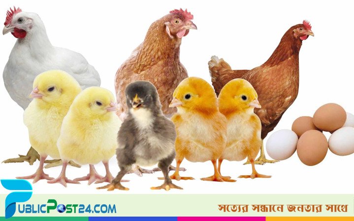 আজ পোলট্রি দিবস