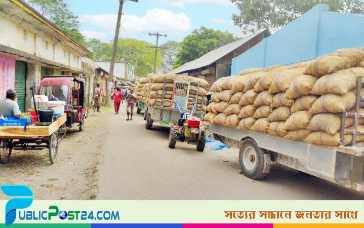 মুন্সীগঞ্জে আলুর বাম্পার ফলনেও হাসি নেই কৃষকের মুখে
