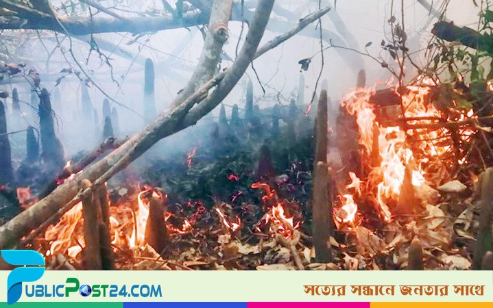 সুন্দরবনের কলমতেজী এলাকায় আগুন