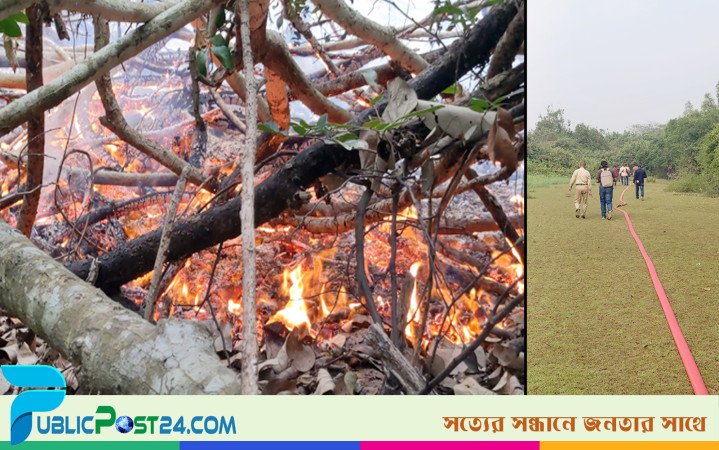 পানি সংকটে এখনো জ্বলছে সুন্দরবন