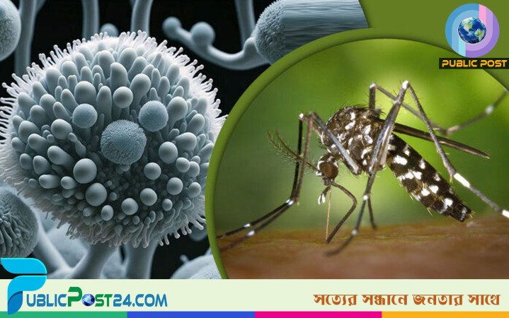 দেশে প্রথমবার জিকা ভাইরাসে আক্রান্ত ৫