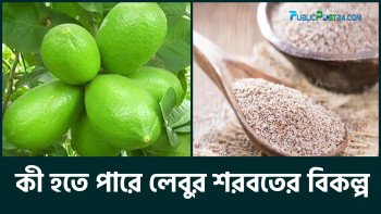 কী হতে পারে লেবুর শরবতের বিকল্প