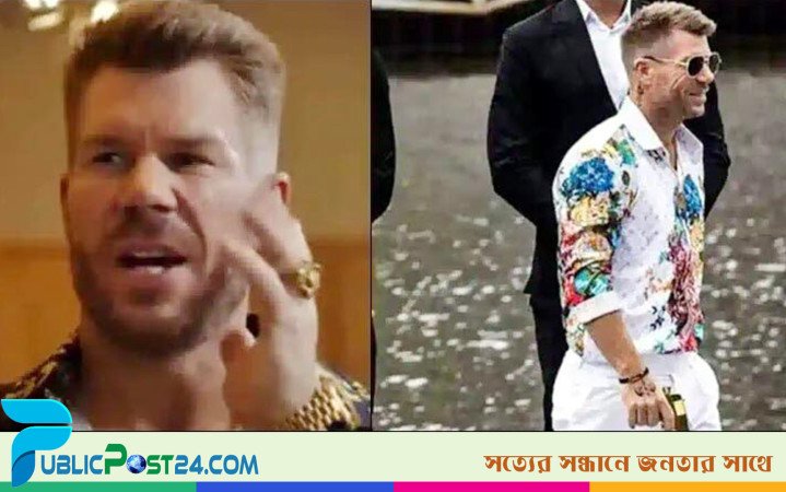 ভারতের সিনেমায় ডেভিড ওয়ার্নার